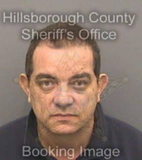 Rodriguezgonzaleo Roemer - Hillsborough County, Florida 