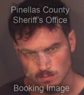 Gillis Shane - Pinellas County, Florida 