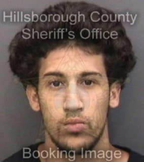 Ruiz Steven - Hillsborough County, Florida 