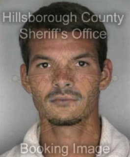 Christian Daniel - Hillsborough County, Florida 