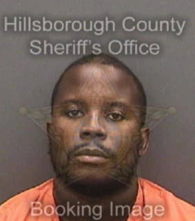 Williams Donald - Hillsborough County, Florida 