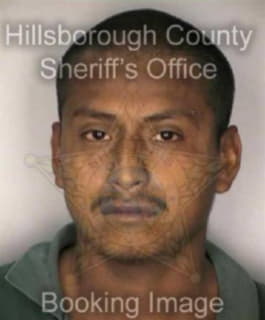 Roquegonzalez Ivan - Hillsborough County, Florida 