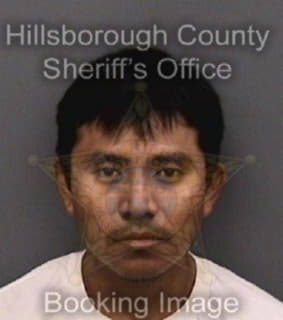 Franciscoescobar Julio - Hillsborough County, Florida 