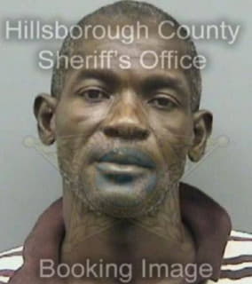 Robinson Theodore - Hillsborough County, Florida 