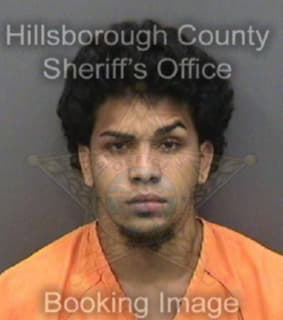 Rojas Julio - Hillsborough County, Florida 