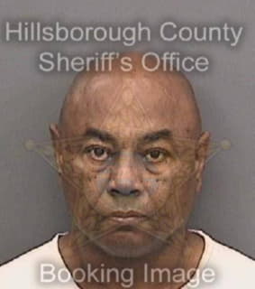 Martin Matthew - Hillsborough County, Florida 