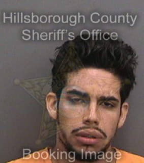 Alarco Randy - Hillsborough County, Florida 