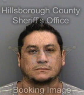 Ruiz Rene - Hillsborough County, Florida 