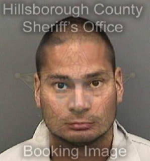 Martinez Marcos - Hillsborough County, Florida 