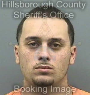 Lopezrivera Michael - Hillsborough County, Florida 