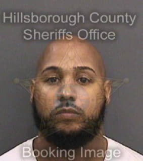 Martinez Carlos - Hillsborough County, Florida 