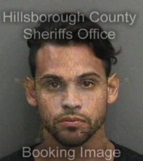 Pena Shawn - Hillsborough County, Florida 