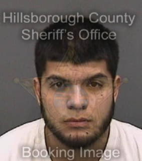 Rosalesvillasenor Julio - Hillsborough County, Florida 