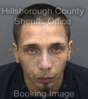 Dejesus Michael - Hillsborough County, Florida 