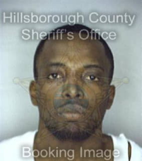 Chambers Reginald - Hillsborough County, Florida 