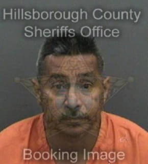 Palomares Carlos - Hillsborough County, Florida 