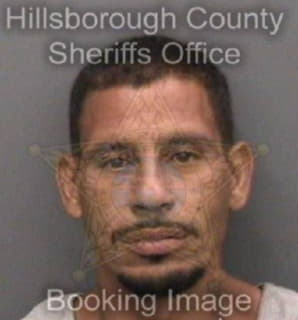 Rodriguez Christopher - Hillsborough County, Florida 