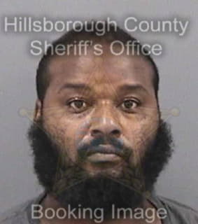 Kelson David - Hillsborough County, Florida 