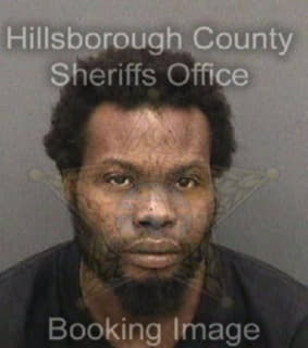 Williams Davion - Hillsborough County, Florida 