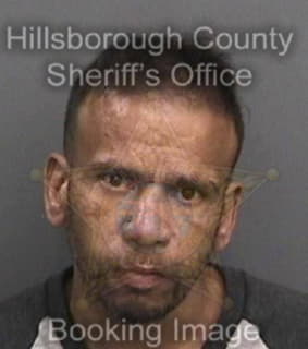 Rodriguez Jesus - Hillsborough County, Florida 