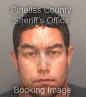 Amador Eric - Pinellas County, Florida 