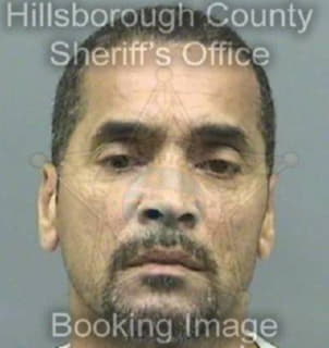 Pedraza Eusebio - Hillsborough County, Florida 