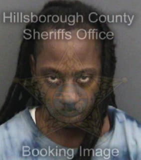 Davis Jermaine - Hillsborough County, Florida 