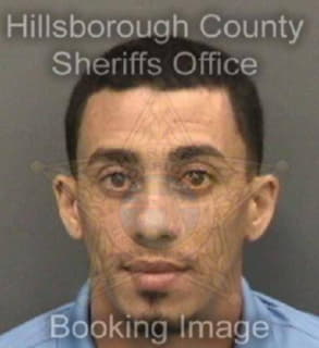 Francotorres Miguel - Hillsborough County, Florida 