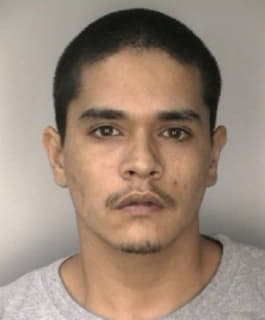 Lopez Robert - Hillsborough County, Florida 