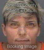 Bragdon Sherri - Pinellas County, Florida 