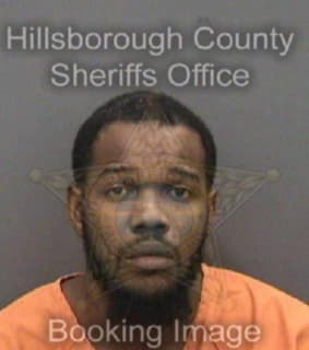 Ashley Jimonte - Hillsborough County, Florida 