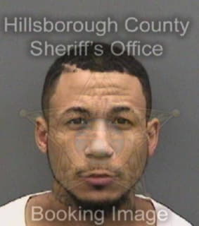 Vega Joshua - Hillsborough County, Florida 