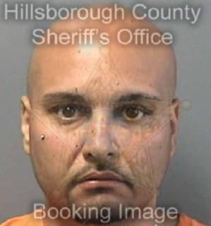 Miguel Nicholas - Hillsborough County, Florida 