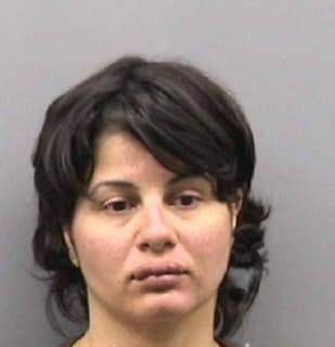 Rosario Llanira - Hillsborough County, Florida 