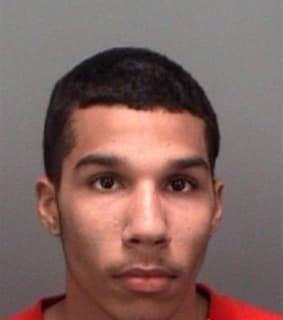 Matthews Lorenzo - Pinellas County, Florida 