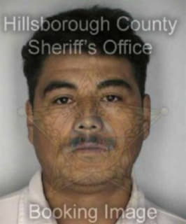 Cruz Amador - Hillsborough County, Florida 