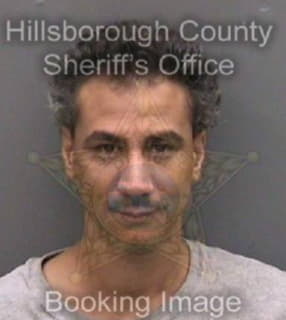 Otero Jose - Hillsborough County, Florida 