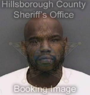 Johnson Michael - Hillsborough County, Florida 