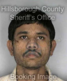 Patel Nimesh - Hillsborough County, Florida 