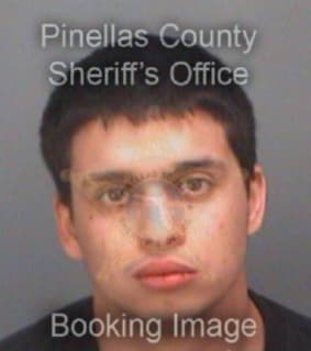 Rivera Christopher - Pinellas County, Florida 