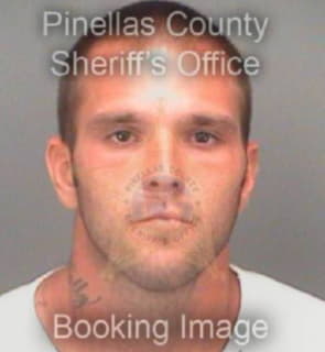 Hayes Christopher - Pinellas County, Florida 