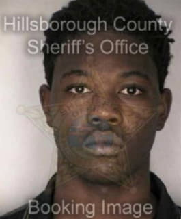 Davidson Christopher - Hillsborough County, Florida 