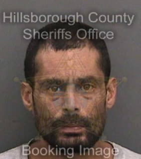 Ortiz Michael - Hillsborough County, Florida 