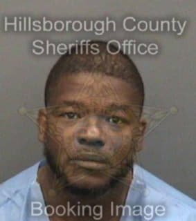 Williams Paul - Hillsborough County, Florida 