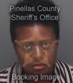 Bryant Tammy - Pinellas County, Florida 