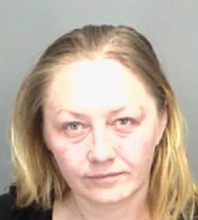 Deljkic Azra - Pinellas County, Florida 