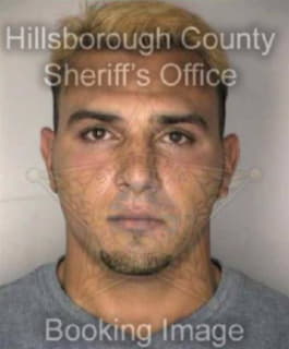 Perez David - Hillsborough County, Florida 