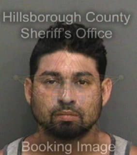 Lopez Enrique - Hillsborough County, Florida 