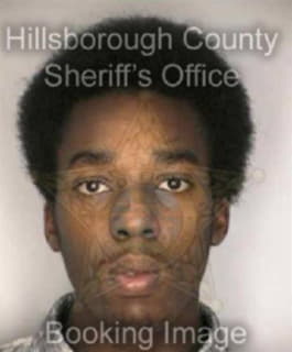 Moore Gregory - Hillsborough County, Florida 