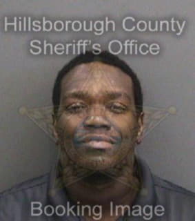 Wilson Johnathan - Hillsborough County, Florida 